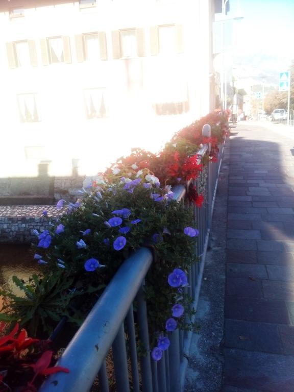 فندق ترينتوفي  Alloggio Ponte Dei Cavalleggeri المظهر الخارجي الصورة