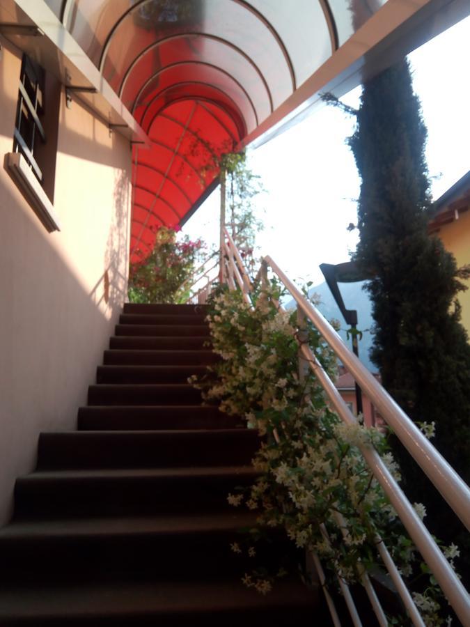 فندق ترينتوفي  Alloggio Ponte Dei Cavalleggeri المظهر الخارجي الصورة